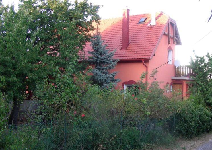 Valeria Vendeghaz Apartment Budakalász Exterior photo